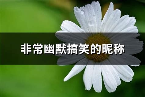 幽默的名字|非常幽默搞笑的昵称 (优选535个)